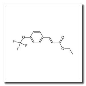(2E)-3-(4-trifluoromethoxy-phenyl)-acrylic acid ethyl ester