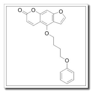 4-(4-苯氧基丁氧基)-7H-呋喃并[3,2-G][1]苯并吡喃-7-酮