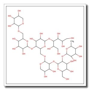 Heptamaloxyloglucan