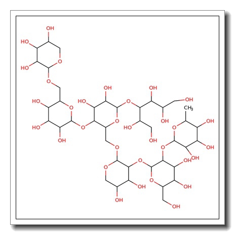 Heptamaloxyloglucan