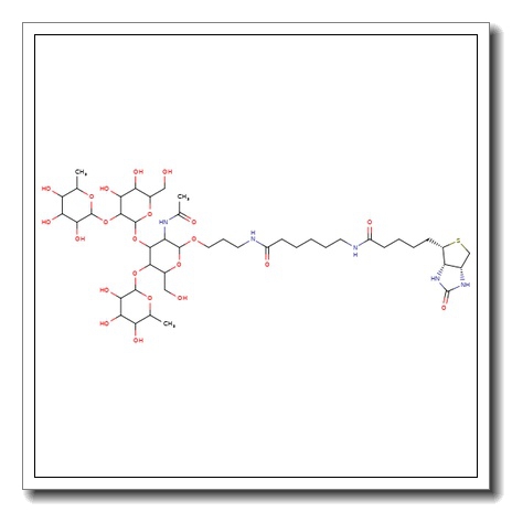 Lewis B tetrasaccharide-sp-biotin