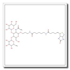 Lewis A trisaccharide-sp-biotin
