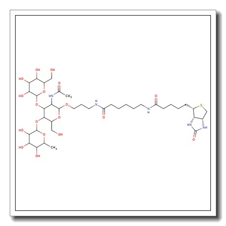 Lewis A trisaccharide-sp-biotin
