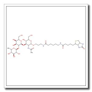 Blood Group H type II trisaccharide, spacer-biotin conjugate