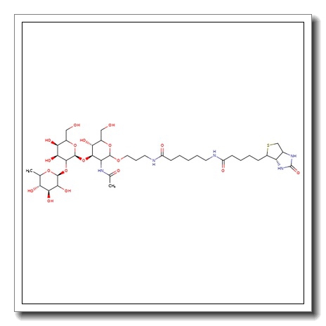 Blood Group H type II trisaccharide, spacer-biotin conjugate