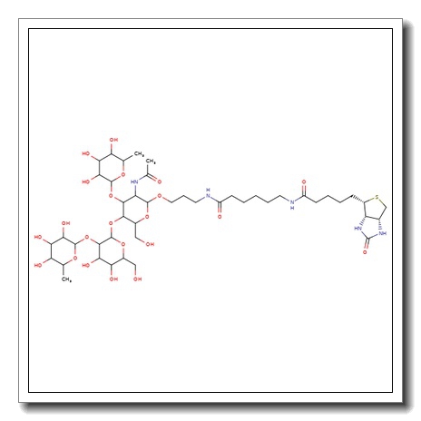 Lewis Y tetrasaccharide-sp-biotin