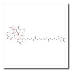 3′-a-Sialyl-N-acetyllactosamine-sp-biotin
