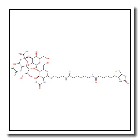 3′-a-Sialyl-N-acetyllactosamine-sp-biotin