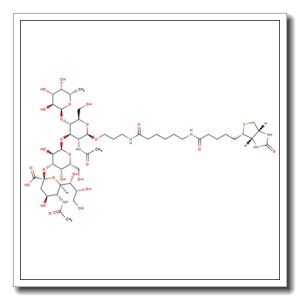 3′-Sialyl Lewis A-sp-biotin
