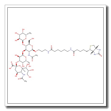 3′-Sialyl Lewis A-sp-biotin