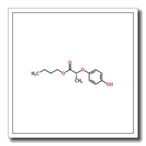 R-(+)-2-(4-羟基苯氧基)丙酸丁酯
