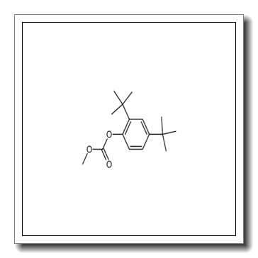 carbonic acid 2,4-di-tert-butylphenyl ester methyl ester