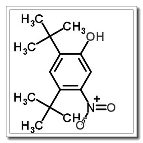 2,4-二-叔丁基-5-硝基苯酚