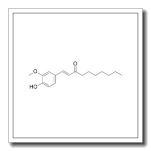 (E)-[6]-Dehydroparadol