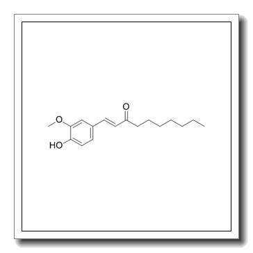 (E)-[6]-Dehydroparadol