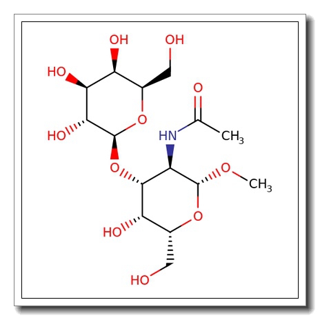 Methyl 2-acetamido-2-deoxy-3-O-(b-D-galactopyranosyl)-b-D-galactopyranoside CAS 88274-25-3
