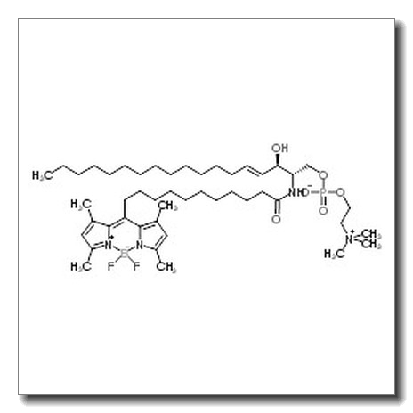 [(7S)-20-(3,5-Dimethyl-1H-pyrrol-2-yl-κN)-20-(3,5-dimethyl-2H-pyrrol-2-ylidene-κN)-4-hydroxy-7-[(1R,2E)-1-hydroxy-2-hexadecen-1-yl]-N,N,N-trimethyl-9-oxo-3,5-dioxa-8-aza-4-phosphaicosan-1-aminiumato(2-) 4-oxide](difluoro)boron CAS 886209-09-2 
