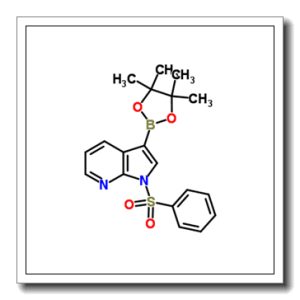 1-苯磺酰基吡咯并吡啶-3-硼酸酯
