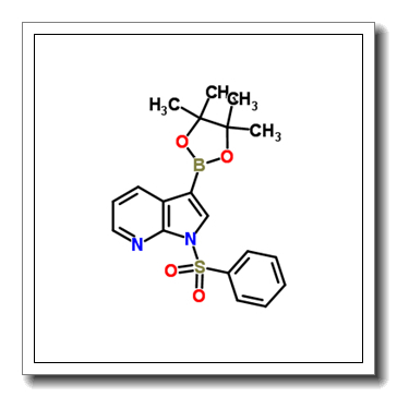 1-苯磺酰基吡咯并吡啶-3-硼酸酯