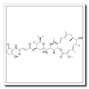 巴佛洛霉素/B1