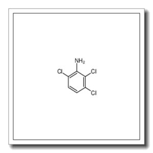 2,3,6-trichloroaniline