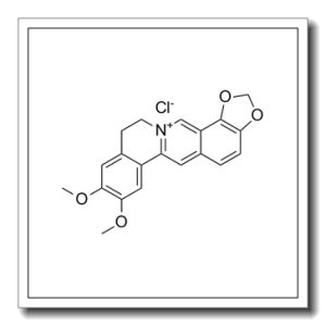 Epiberberine chloride