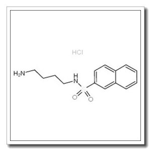 N-(4-氨基丁基)-2-萘磺酰盐酸盐