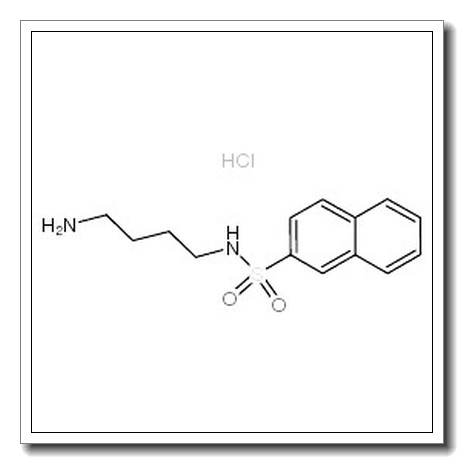 N-(4-氨基丁基)-2-萘磺酰盐酸盐