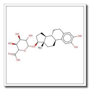 2-Hydroxyestradiol-17-O-b-D-glucuronide