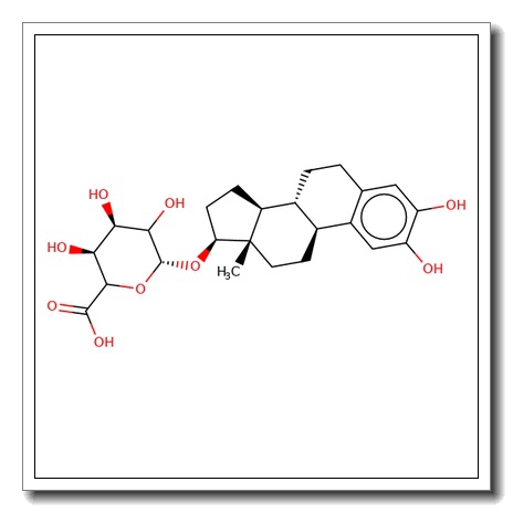 2-Hydroxyestradiol-17-O-b-D-glucuronide