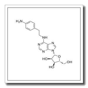 2-(4-氨基苯基)乙基腺苷-5′-羧酸