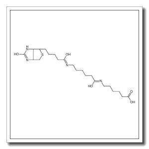 6-[6-[5-[(3aS,4S,6aR)-2-oxo-1,3,3a,4,6,6a-hexahydrothieno[3,4-d]imidazol-4-yl]pentanoylamino]hexanoylamino]hexanoic acid
