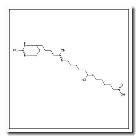 6-[6-[5-[(3aS,4S,6aR)-2-oxo-1,3,3a,4,6,6a-hexahydrothieno[3,4-d]imidazol-4-yl]pentanoylamino]hexanoylamino]hexanoic acid CAS 89889-51-0 