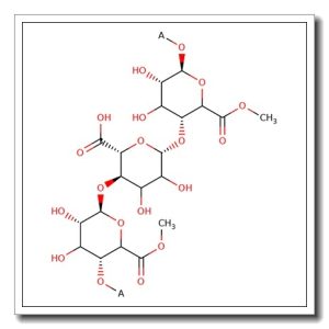 Poly-D-galacturonic acid methyl ester