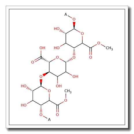 Poly-D-galacturonic acid methyl ester