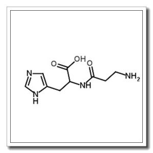 无花果蛋白酶