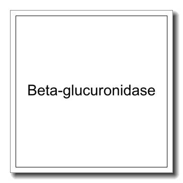 beta-glucuronidas CAS 9001-45-0