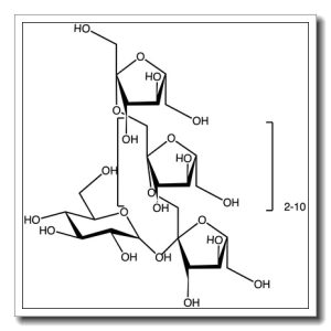 Inulin – from Jerusalem artichoke