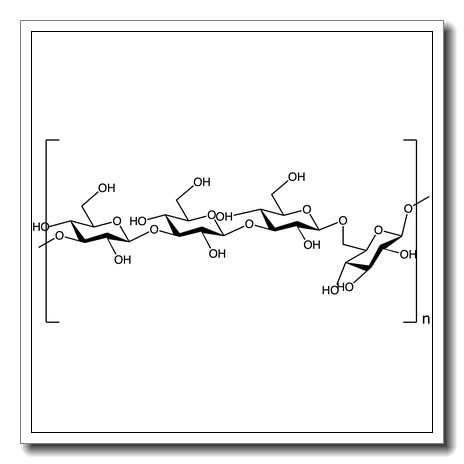 Laminaran – from Thallus laminariae