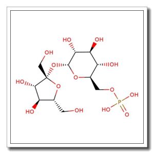 Sucrose-6-phosphate sodium