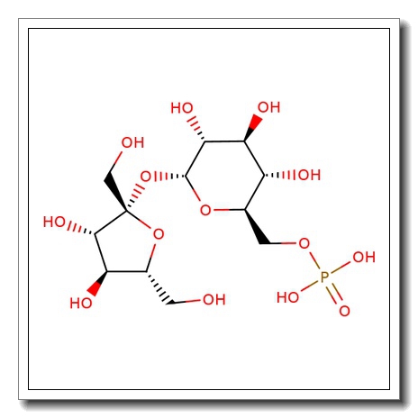 Sucrose-6-phosphate sodium