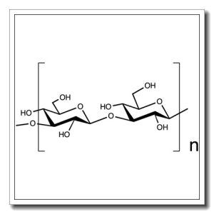 b-D-Glucan-from yeast (Saccharomyces cerevisiae)