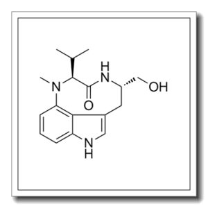 (-)-Indolactam V.