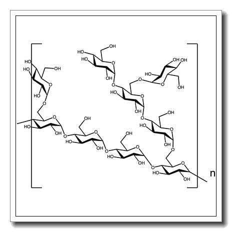 Amylopectin – from maize