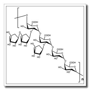 Apiogalacturonan polysaccharides sodium