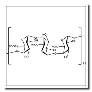 Pectic acid