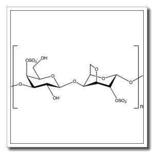 iota-Carrageenan