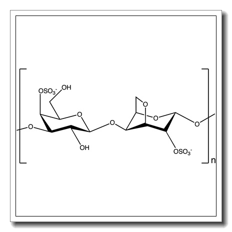iota-Carrageenan