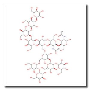 Man-9-Glc N-Glycan