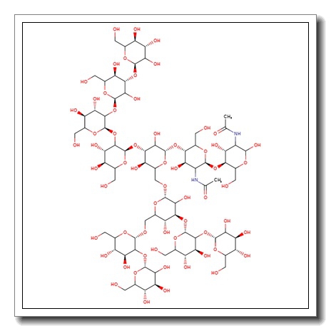Man-9-Glc N-Glycan